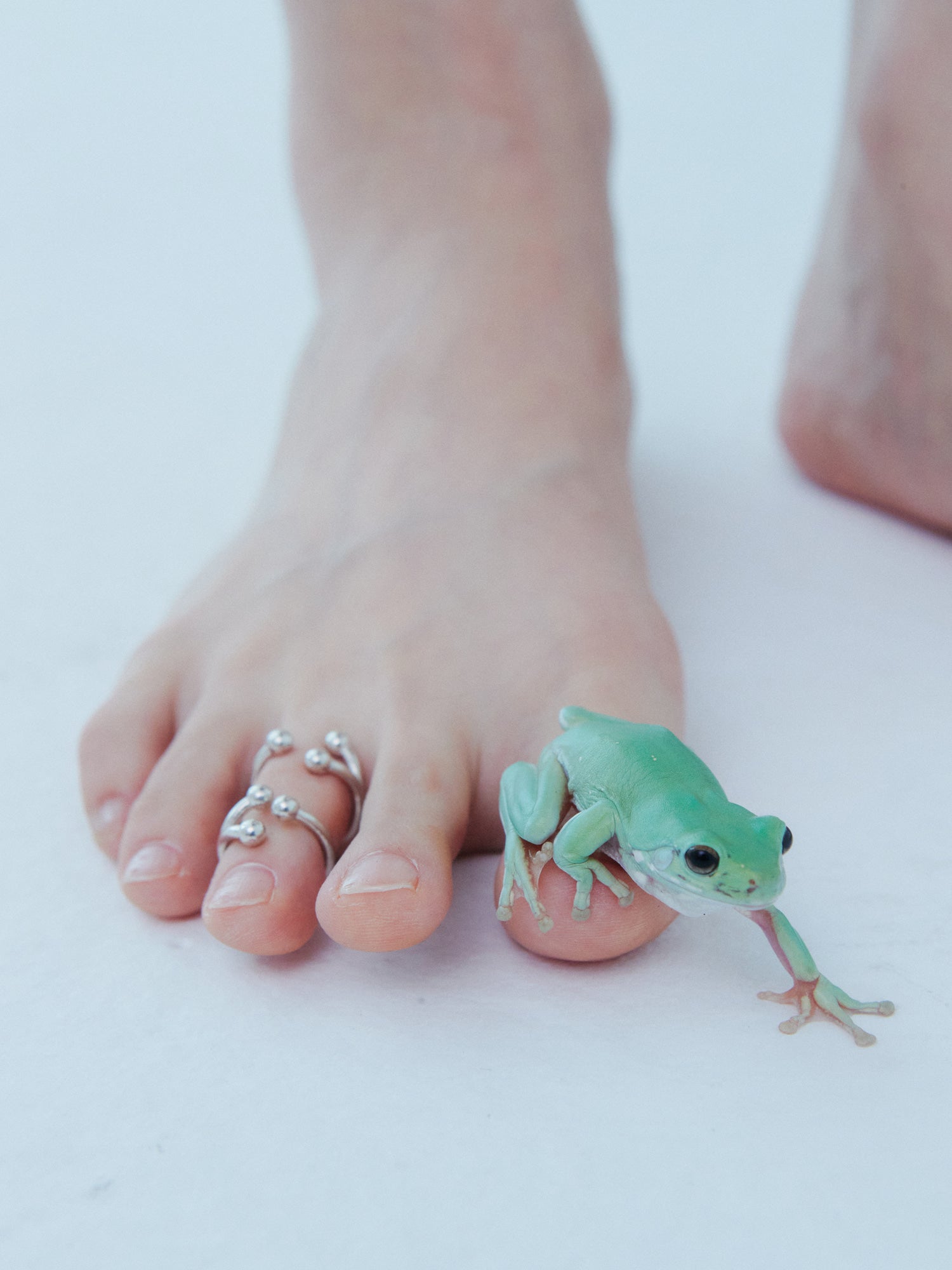 Frog Silver Toe Ring